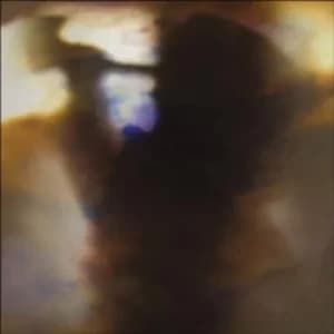 Image of Fall Be Kind by Animal Collective CD Album