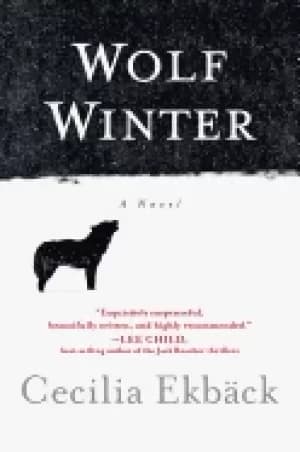 Image of wolf winter
