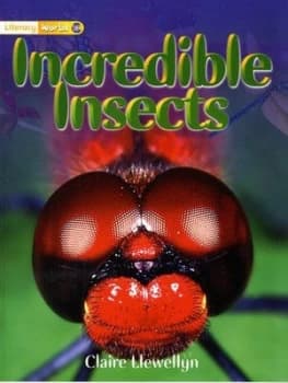 Image of Literacy World Non-Fiction Stage 1 Incredible Insects Book