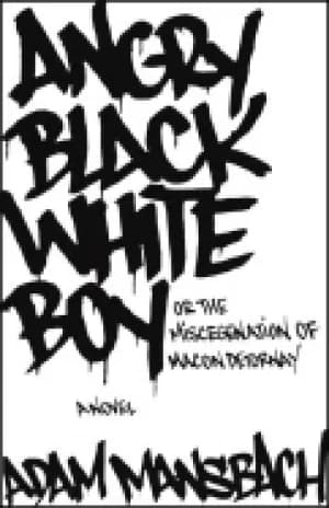 Image of angry Black white boy a novel