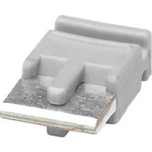 Image of Phoenix Contact 2966825 FBST 6 PLC GY PLC Interface Attachment