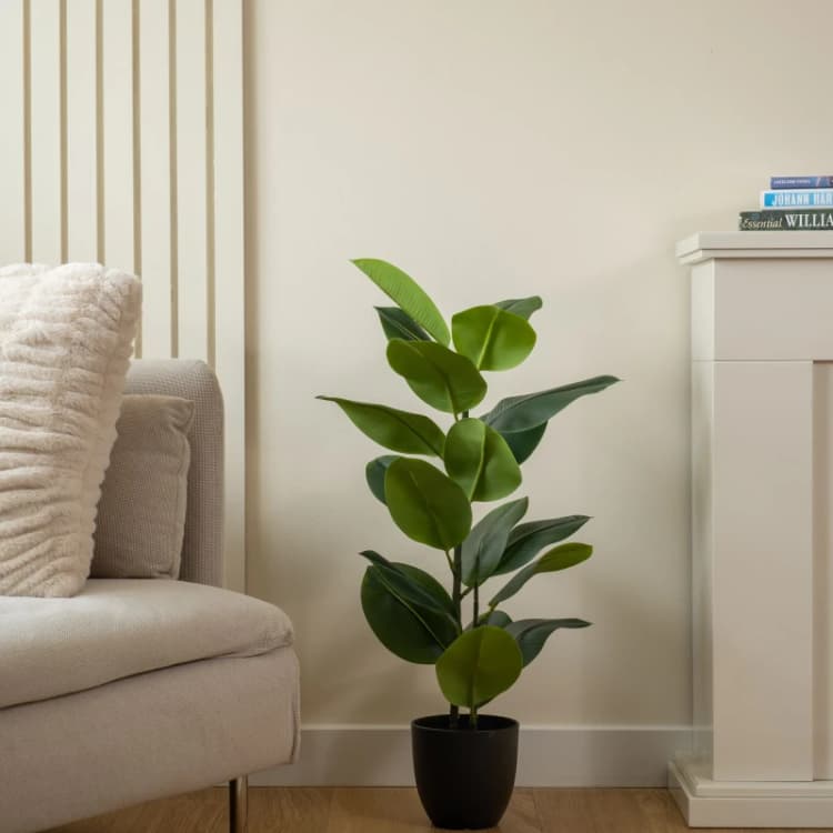 Image of Scottish Everlastings Ltd Real Touch Rubber Tree 85cm, Green SEL1208