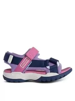 Image of Geox J Borealis Sandal, Navy/Purple, Size 11.5 Younger