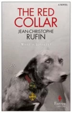 Image of red collar