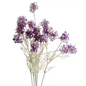 Image of Purple Meadow Flower