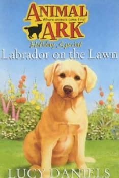 Image of Labrador on the Lawn by Lucy Daniels Paperback