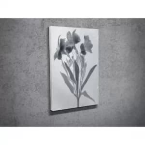 Image of DC045 Multicolor Decorative Canvas Painting