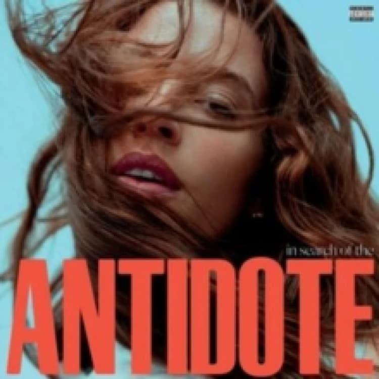 Image of In Search of Antidote Vinyl
