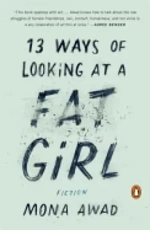 Image of 13 ways of looking at a fat girl fiction
