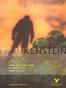 Image of Frankenstein Mary Shelly by Alex Fairburn Paperback