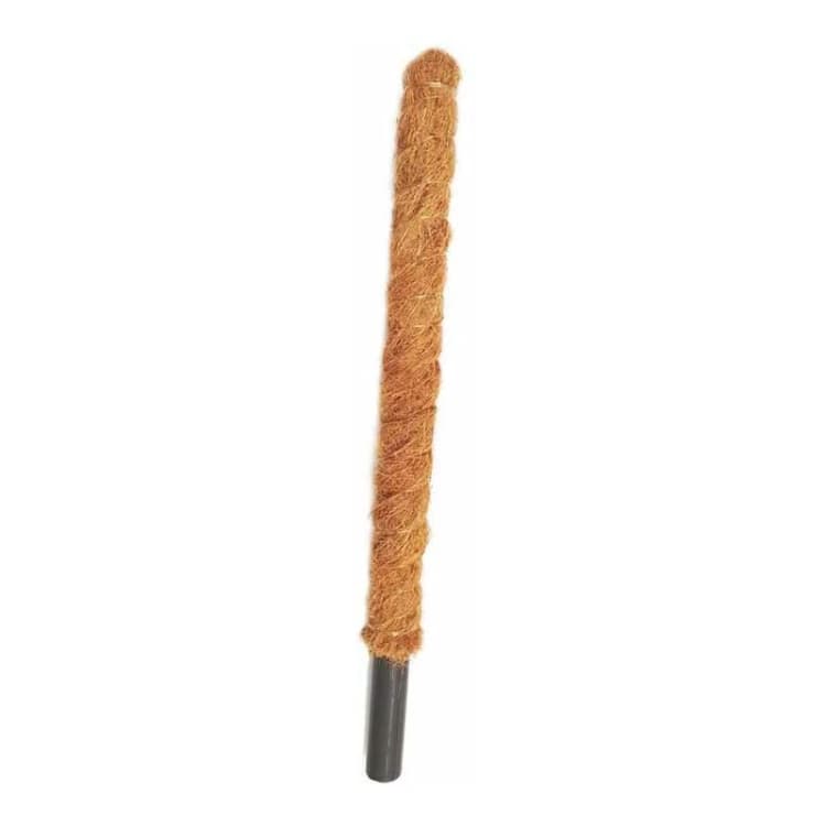 Image of Grow Poles - Fibre/Wood - L5 x W5 x H50cm CoirProductsCPUK50GP02