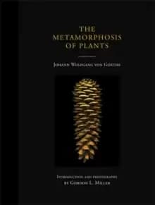 Image of The Metamorphosis of Plants