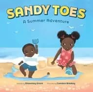Image of sandy toes a summer adventure a lets play outside book
