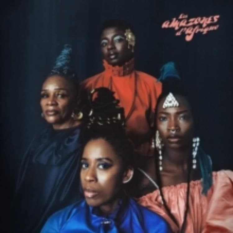 Image of Musow Danse Vinyl