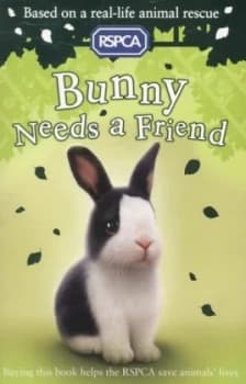 Image of Bunny Needs a Friend by Jill Hucklesby Paperback