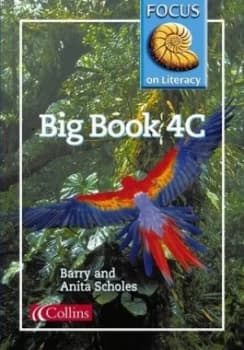 Image of Focus on Literacy 26 - Big Book 4c by Barry Scholes Paperback