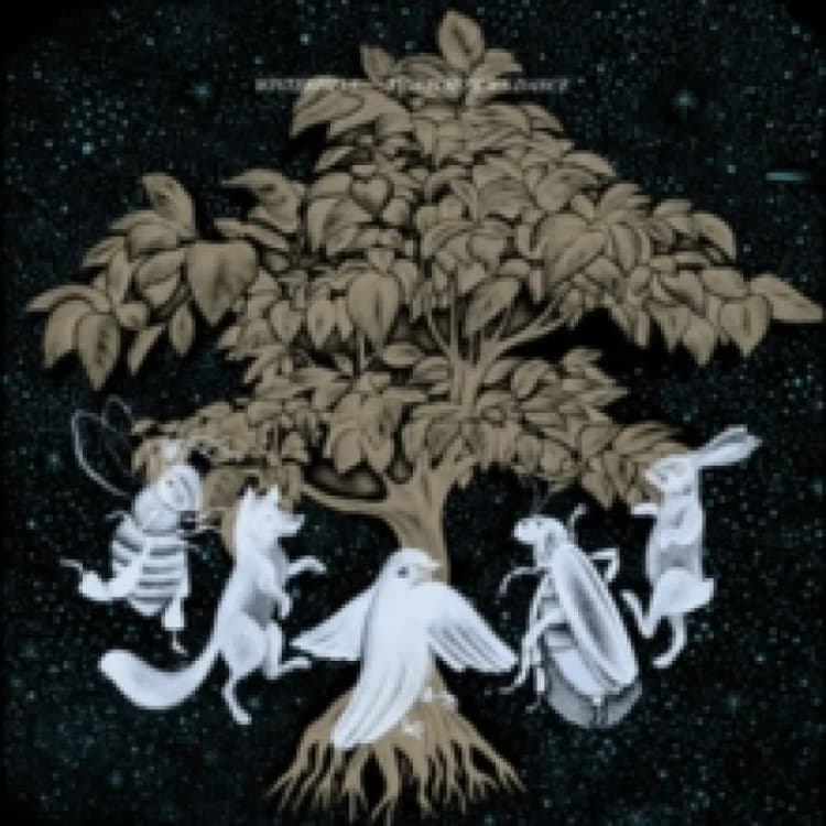 Image of This is how we dance CD / Album