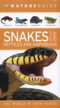 Image of Snakes and Other Reptiles and Amphibians by Chris Mattison Paperback
