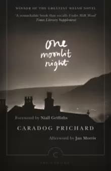 Image of One Moonlit Night