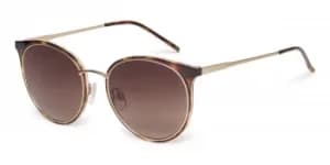Image of Ted Baker Sunglasses TB1610 122