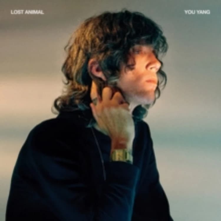 Image of You Yang Vinyl
