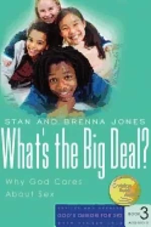 Image of whats the big deal why god cares about sex