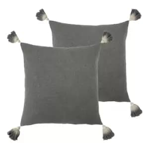 Image of Eden Twin Pack Polyester Filled Cushions
