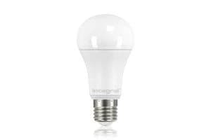 Image of 10 PACK - LED Classic Globe 13.5W 5000K (Cool White) 1521lm E27 Non-Dimmable Frosted Bulb