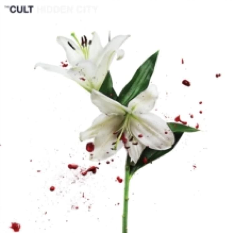 Image of Hidden city Vinyl