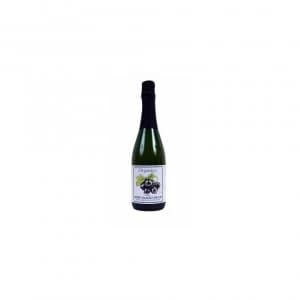 Image of Organico Bubbly Blackcurrant Juice 750ml x 6