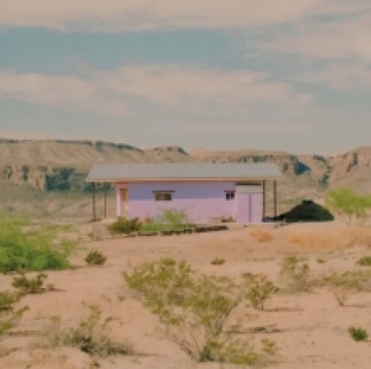 Image of We're Having a Barn Dance Vinyl