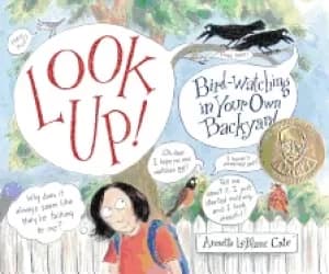 Image of look up bird watching in your own backyard
