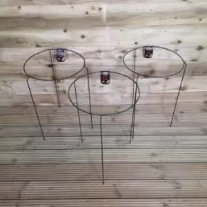 Image of Pack of 3 Tom Chambers Urban Metal Herbaceous Garden Plant Support Ring Large 40cm x 60cm