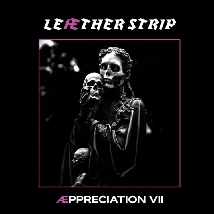 Image of Aeppreciation VII CD / Album