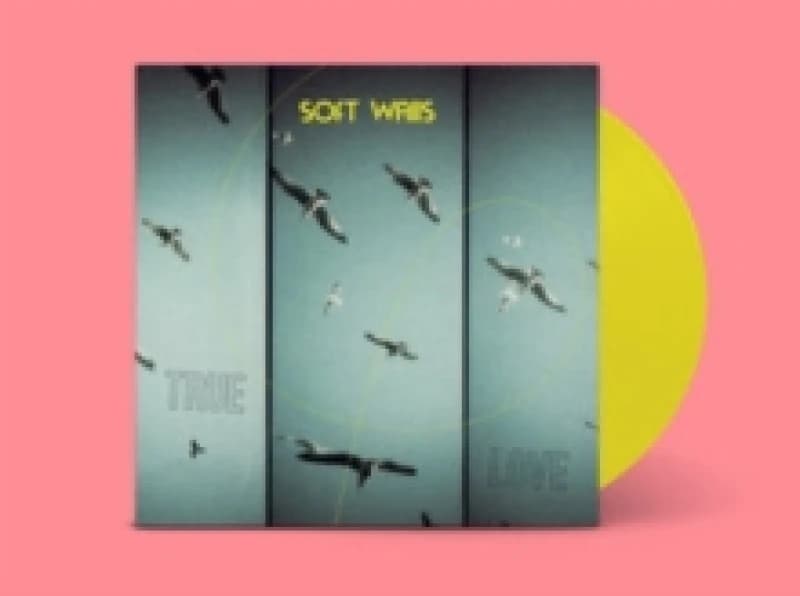 Image of True Love Vinyl