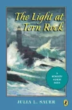 Image of light at tern rock