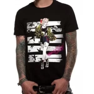Image of Birds Of Prey Stripes And Stars Unisex T-Shirt Ex Large