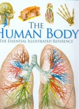 Image of The Human Body by Vigu-Martn Hardback
