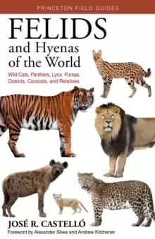 Image of Felids and Hyenas of the World : Wildcats, Panthers, Lynx, Pumas, Ocelots, Caracals, and Relatives