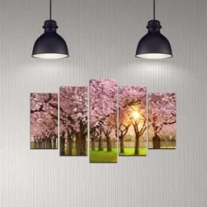 Image of 5DMDF-3 Multicolor Decorative MDF Painting (5 Pieces)