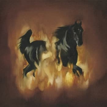 Image of The Besnard Lakes - The Besnard Lakes Are The Dark Horse Vinyl