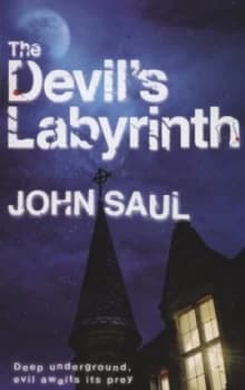 Image of The Devils Labyrinth by John Saul Book