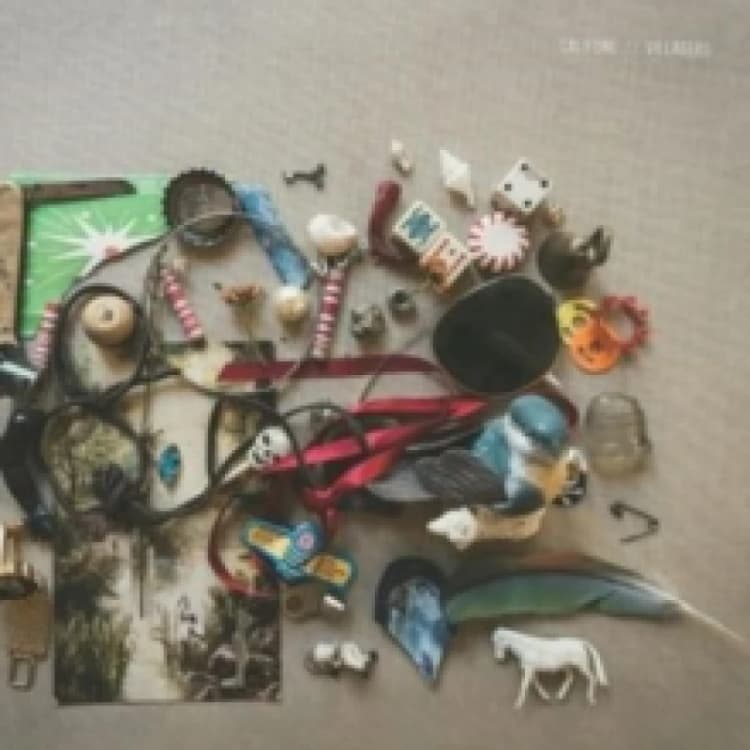 Image of Villagers Vinyl