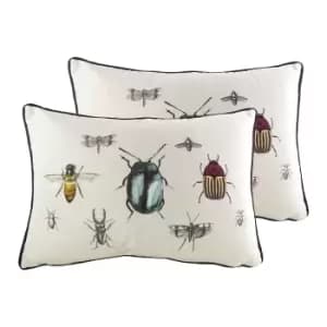Image of Eden Insects Twin Pack Polyester Filled Cushions
