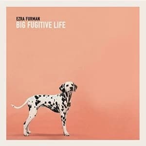 Image of Ezra Furman - Big Fugitive Life Vinyl