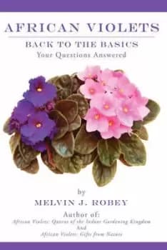 Image of African Violets Back to the Basics by Melvin J Robey