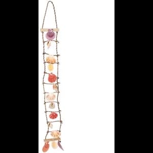 Image of Shell Ladder