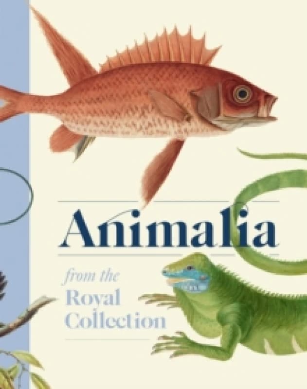 Image of Animalia : From the Royal Collection Hardback