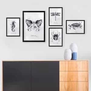 Image of SET_017 Multicolor Decorative Framed Painting (5 Pieces)