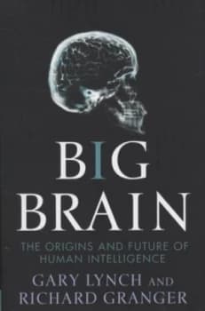 Image of Big Brain by Gary Lynch Hardback
